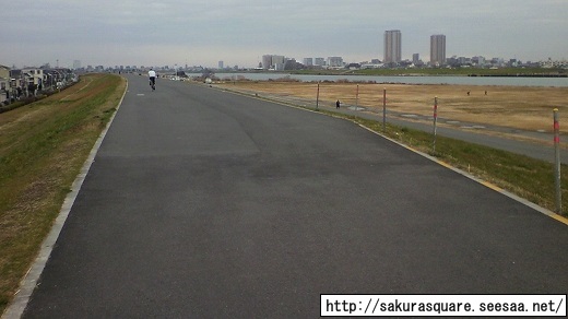 江戸川サイクリングロード 京葉道路から金町駅 をクロスバイクで走る 自転車と超高層ビル Evergreen