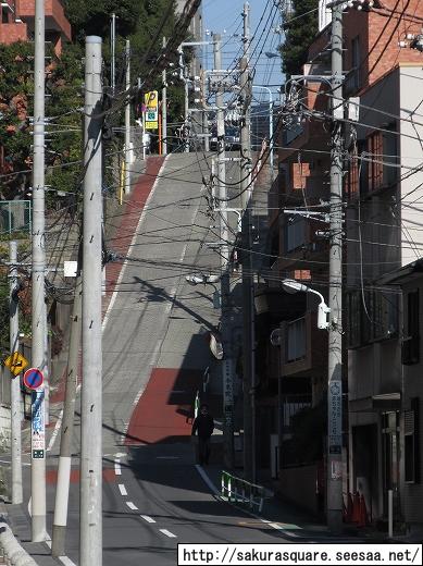 高田馬場の超高層ビル 大久保三丁目西地区開発計画 新宿スカイフォレスト 自転車と超高層ビル Evergreen